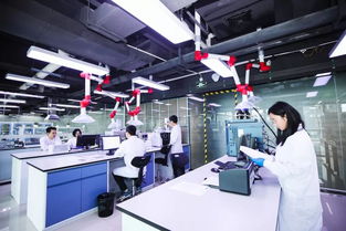 專訪悅刻CEO汪瑩 以技術(shù)為槳，向世界發(fā)出中國(guó)聲音